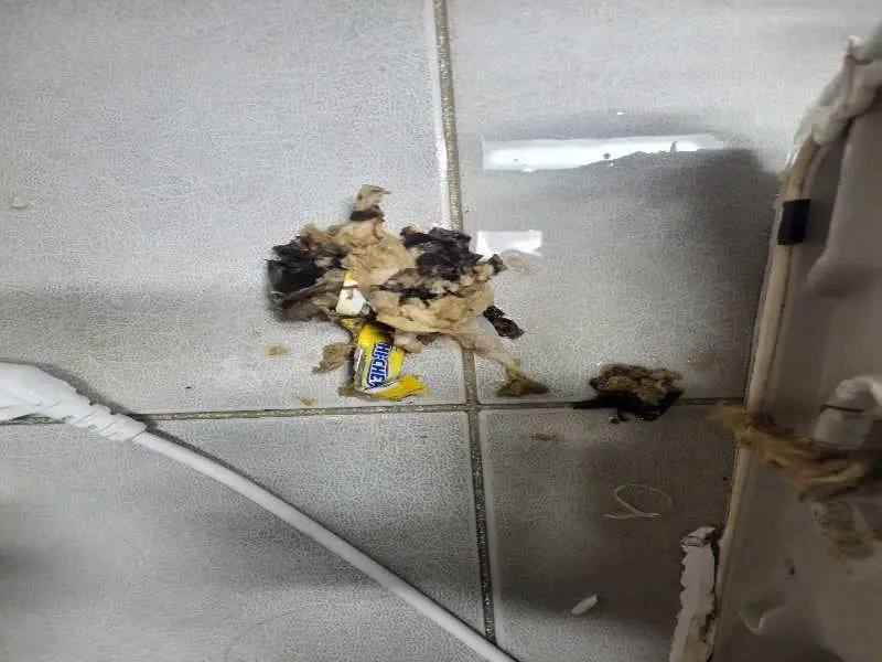 고양 배관 이물질 제거 사례 2